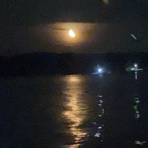 Meet your Posher, Skye